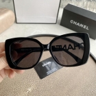Designer Brand C Original Quality Sunglass Come with box 2022SS M8906